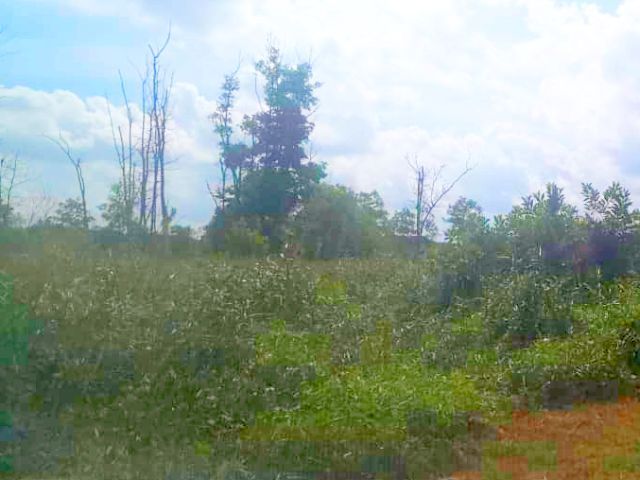 tanah untuk dijual di Kuantan ada belukar